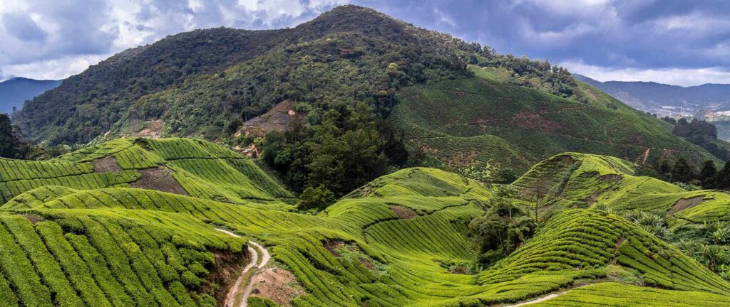 Weekend travel to Cameron Highlands